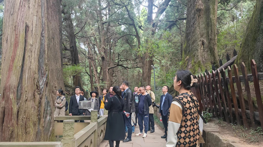 8d247f354cba6e5ff37273c57f76ecb 8d247f354cba6e5ff37273c57f76ecb